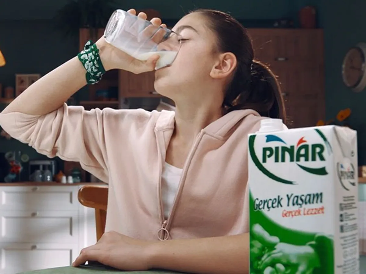 Pinar Full Fat White Cheese 500g 2